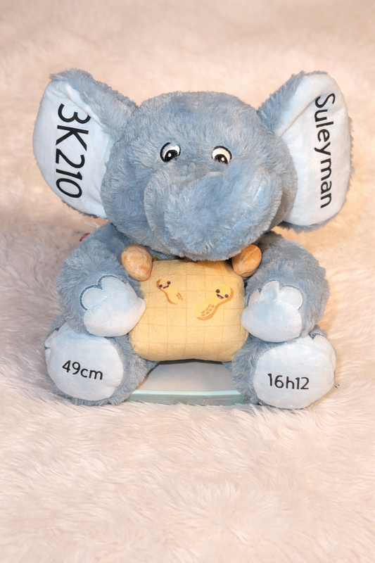 Peluche éléphant personnalisée – Cadeau naissance
